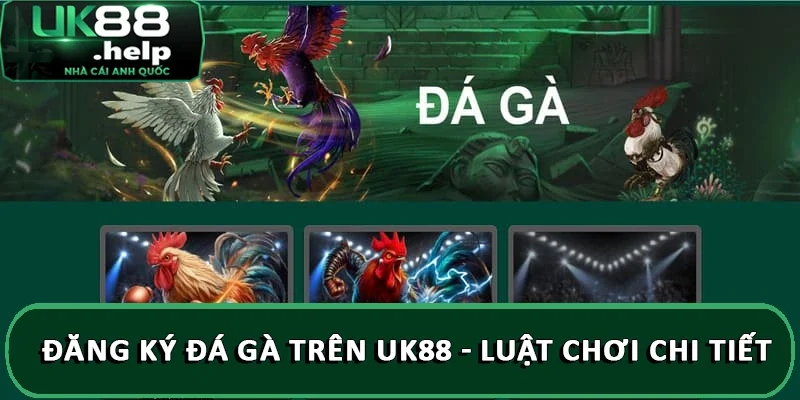 Hướng dẫn đăng ký đá gà trên UK88 chi tiết A - Z 2 Đăng ký đá gà trên UK88 - Luật chơi chi tiết