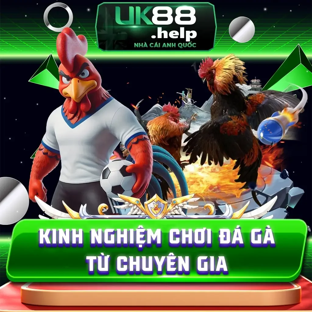 Tổng Hợp Kinh Nghiệm Chơi Đá Gà Từ Chuyên Gia UK88