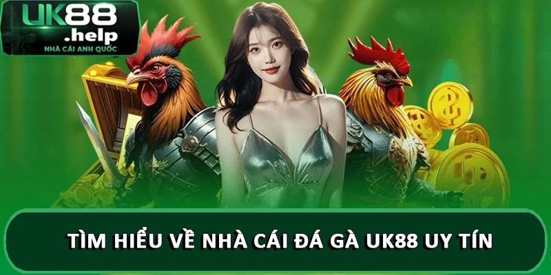 Nhà cái đá gà UK88 uy tín và đáng để trải nghiệm 1 Tìm hiểu về nhà cái đá gà UK88 uy tín